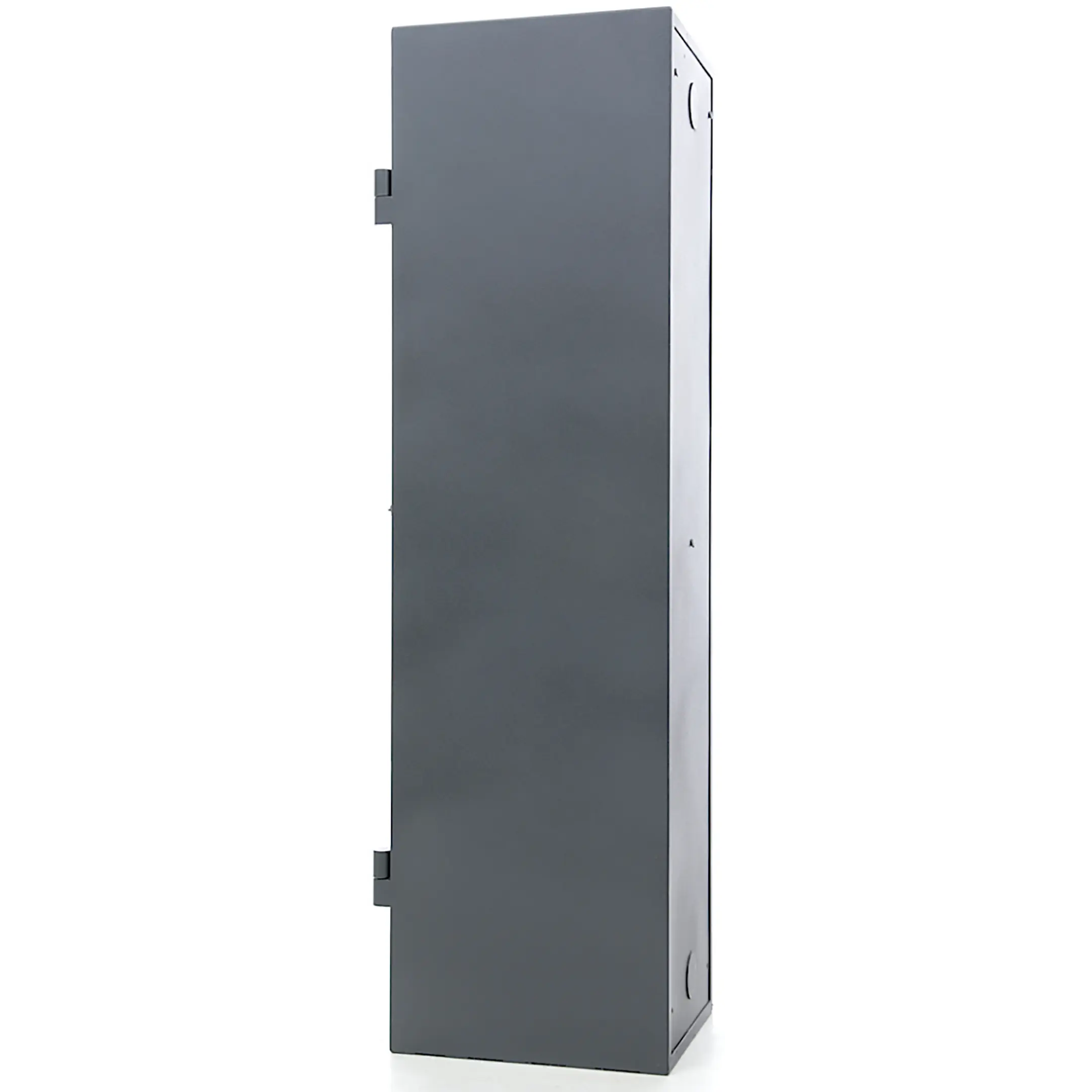 сейф оружейный asg/ws3